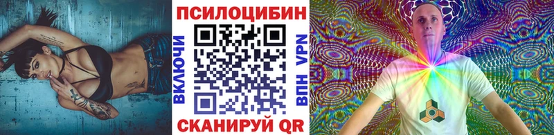 Галлюциногенные грибы Magic Shrooms  купить  цена  Гороховец 